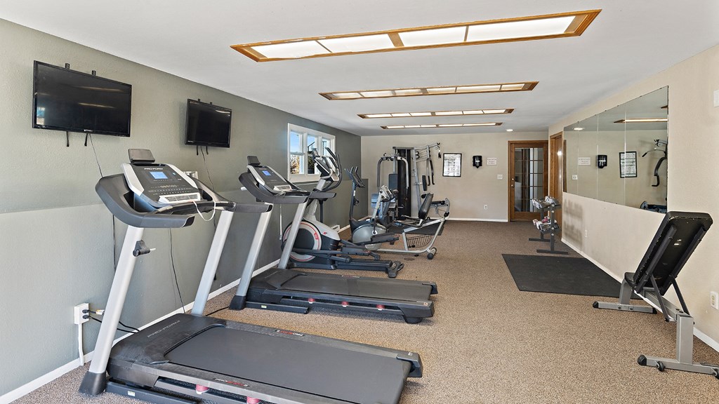 the gym has plenty of exercise equipment and a tv