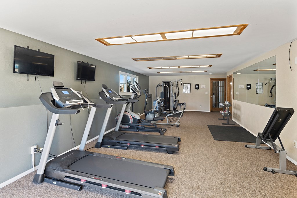 the gym has plenty of exercise equipment and a tv