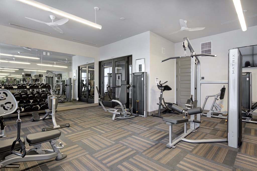 Fitness Center with Cardio and Strength Equipment