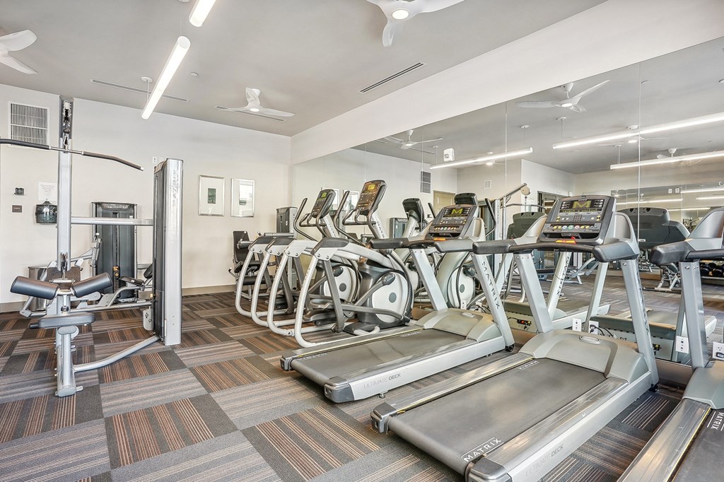 our state of the art fitness center is equipped with cardio equipment and weights for fitness