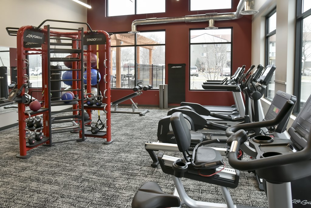 A gym with a variety of equipment including treadmills, weight racks, and exercise balls.