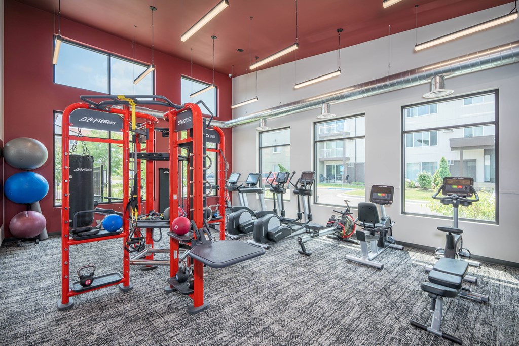 A gym with a variety of equipment including a treadmill, weights, and a bench press.