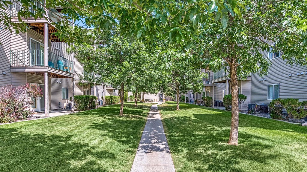 a tree lined sidewalk in front of a row of houses