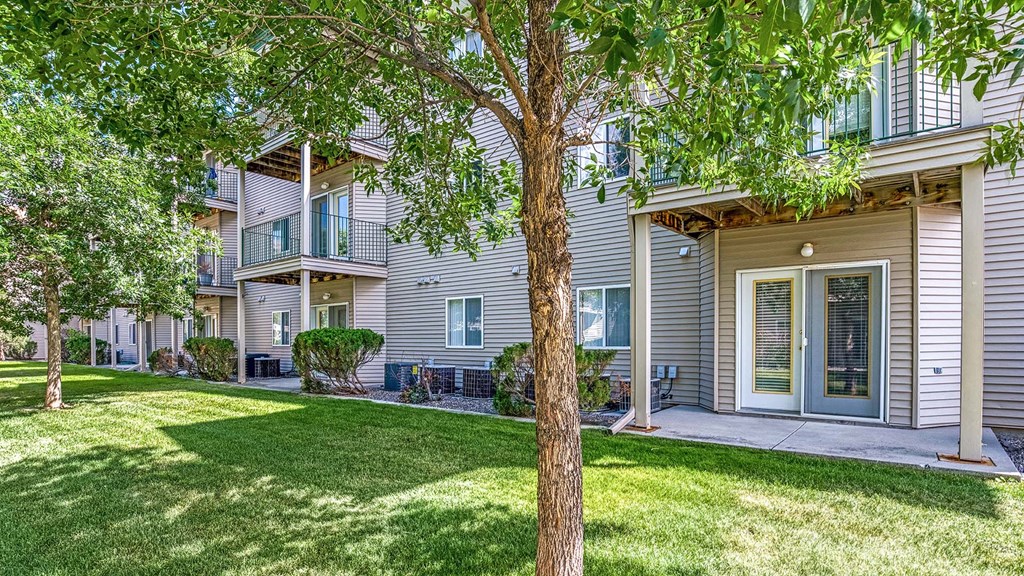 a white house with a tree in front of it