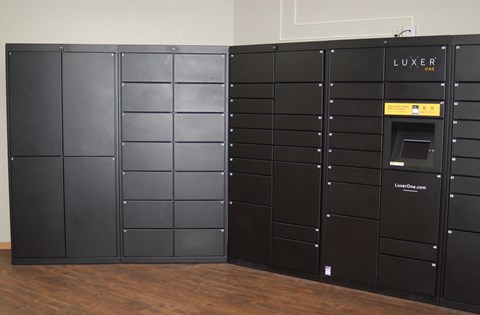 Luxor One Locker Doors