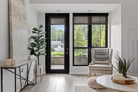 A modern living room with a black door and a view of a green lawn outside.