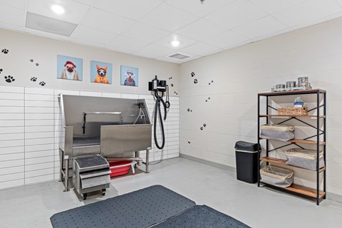A room with a dog washing station and a shelf with dog beds.