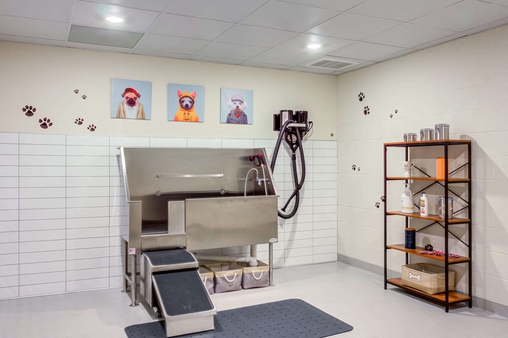 Indoor pet spa with grooming and bathing stations complete with a pet blow dryer and stairs for your pet leading to the bathing station.