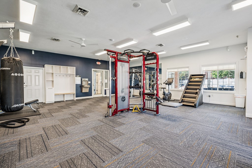 A gym with a punching bag, weights, and a pull up bar.