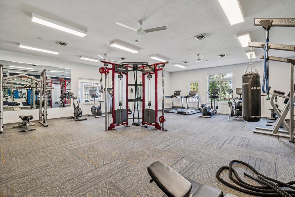 A gym with a variety of equipment including a squat rack, bench, and ropes.