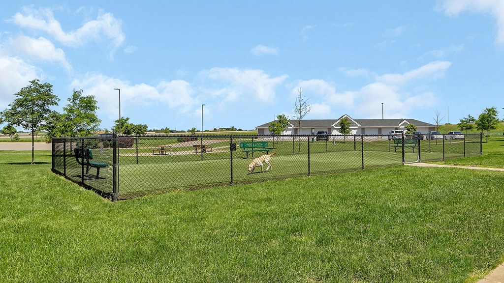 a dog running through a fenced in area in a park