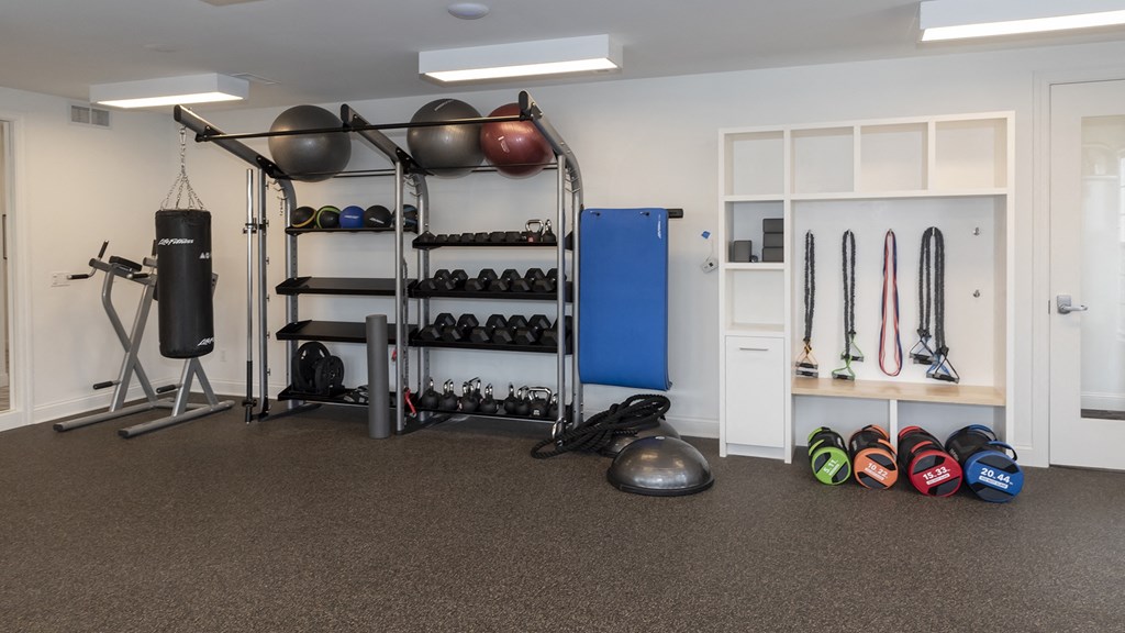 a home gym with a lot of equipment and shelving