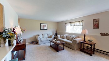 Living Room with Sofas and Window - Photo Gallery 5
