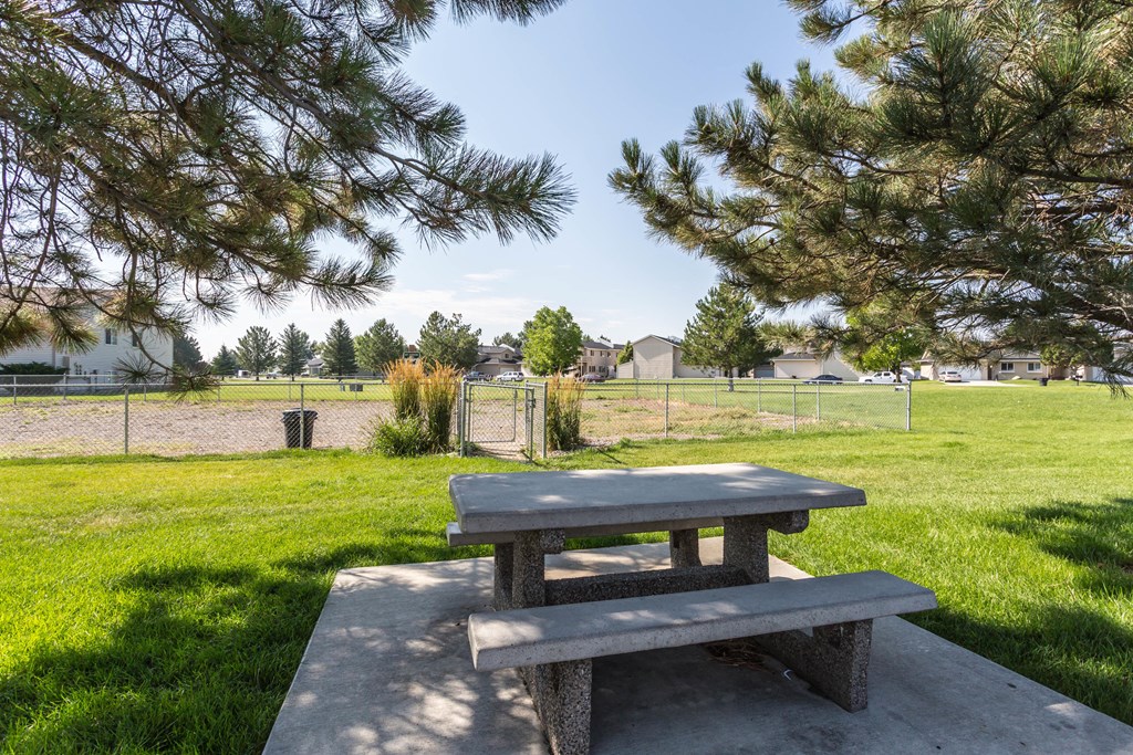 Concrete Picnic Bench and Gated Dog Park