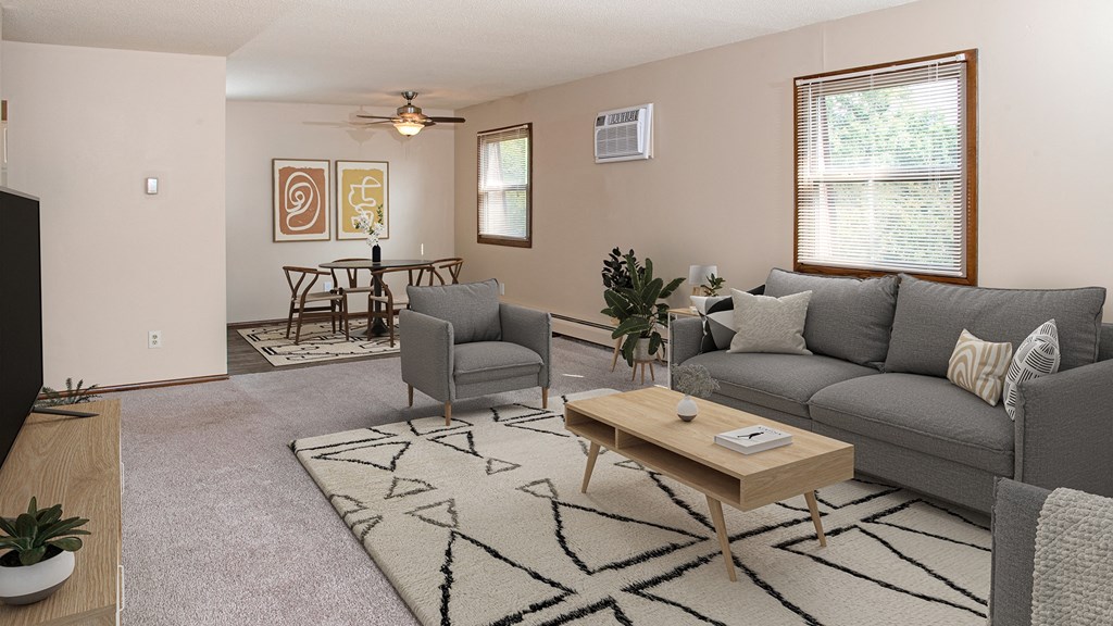 A living room with a grey couch, a coffee table, and a rug.