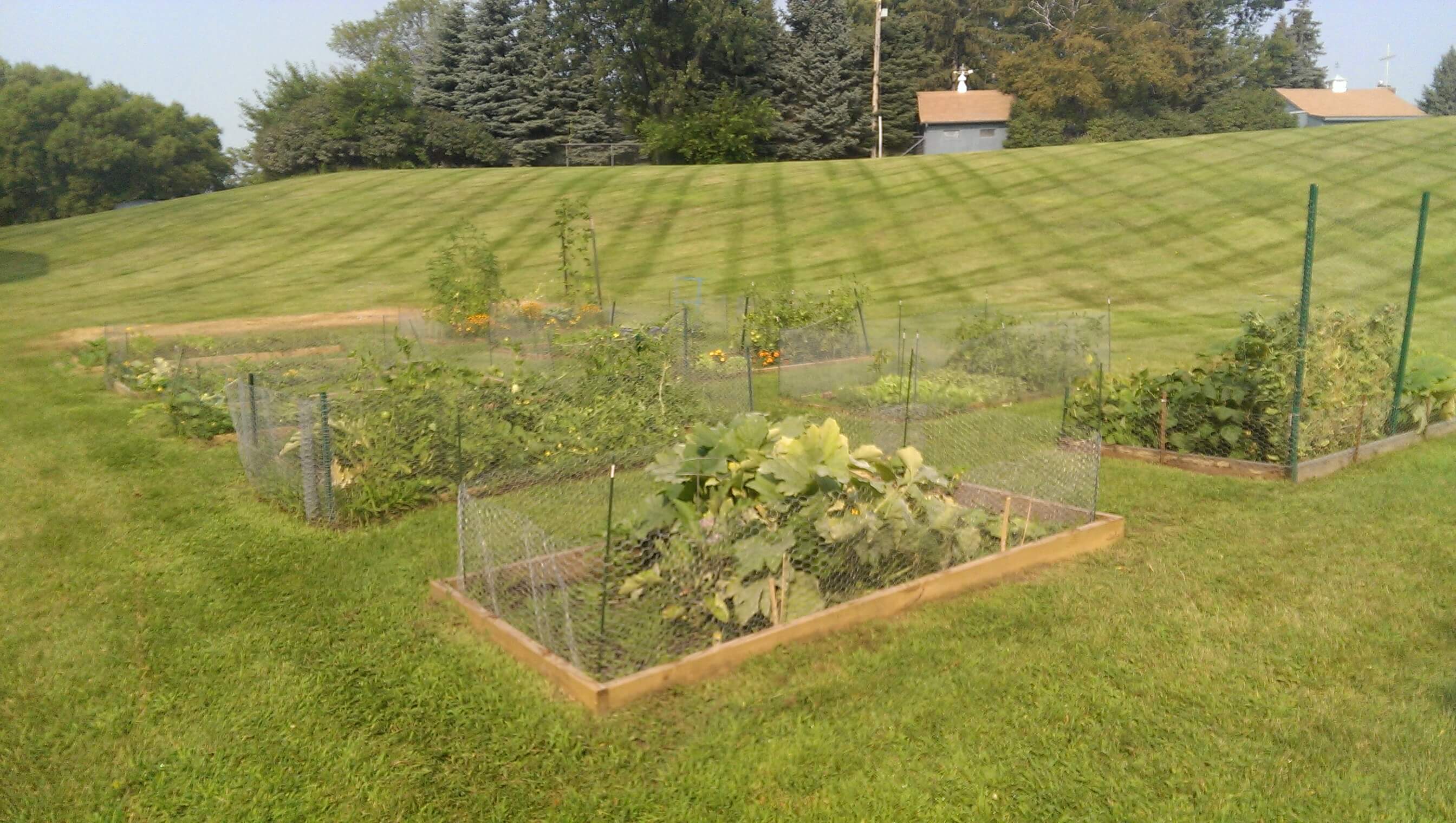 Beautiful Community Garden surrounded with lush green grass.