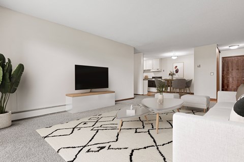A modern living room with a white sofa and a black and white rug.