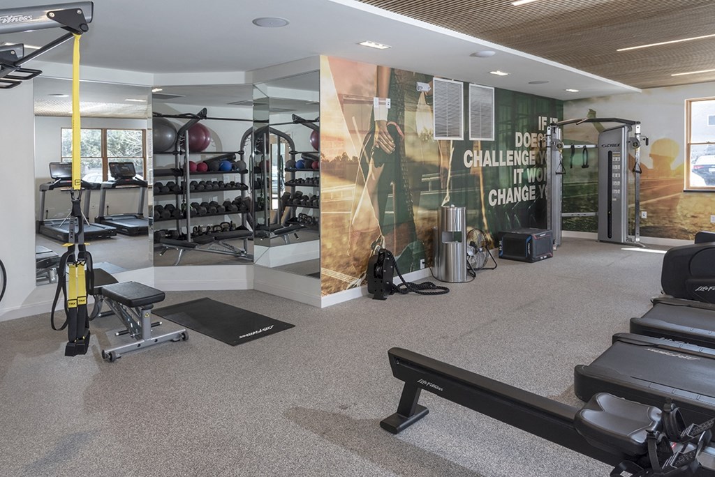 a gym with weights and other exercise equipment and a wall graphic of a building with