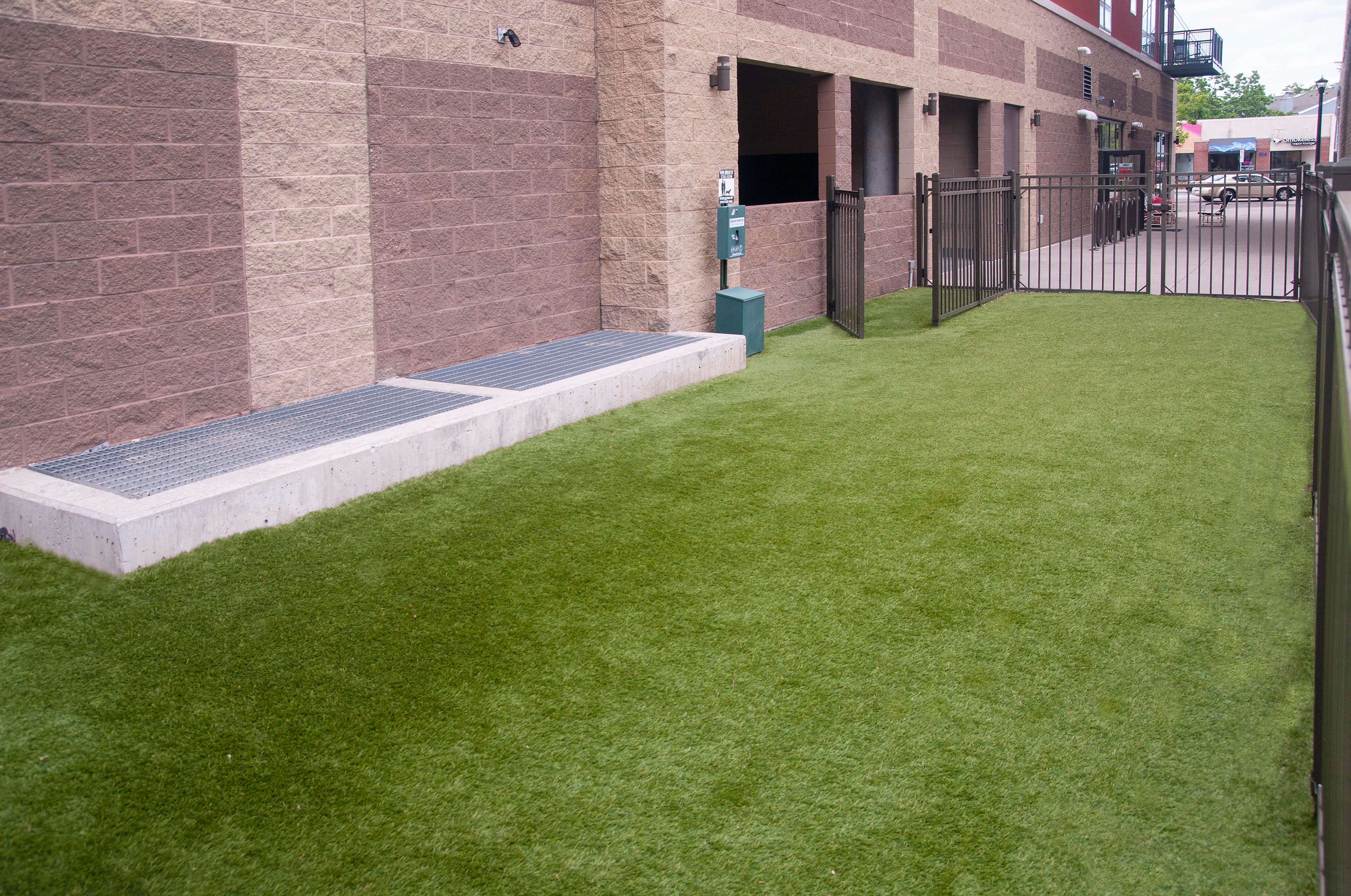 Outdoor dog park fenced in with building to the left.