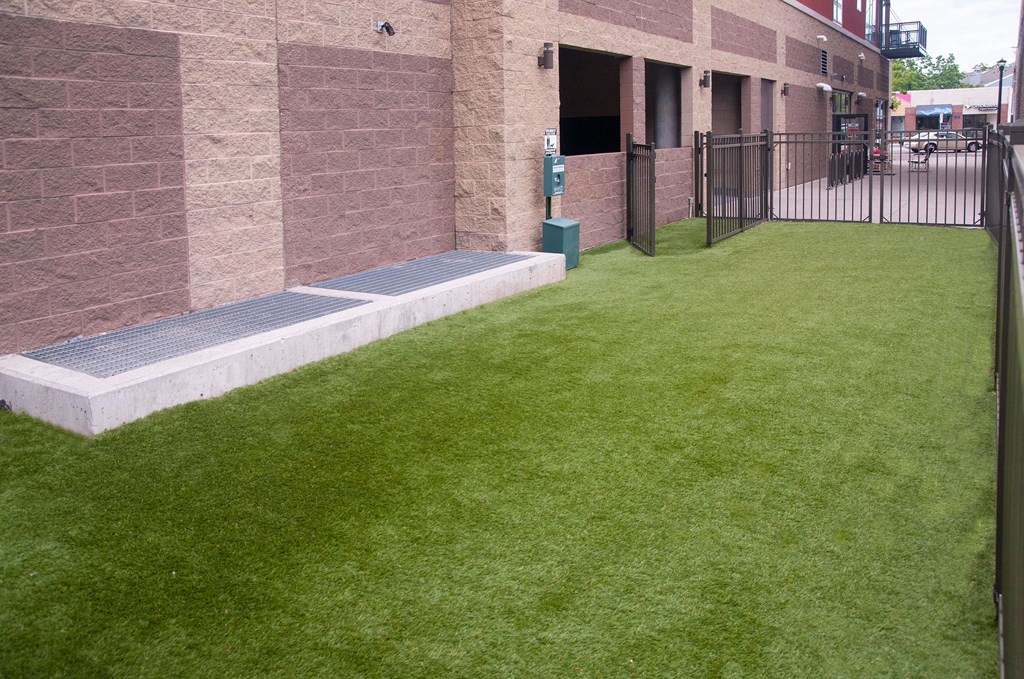 Outdoor dog park fenced in with building to the left.