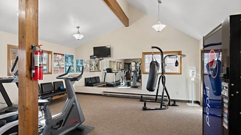 the gym has plenty of cardio equipment and a flat screen tv