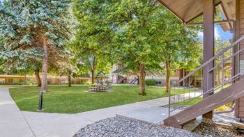 a view of a yard with trees and a staircase