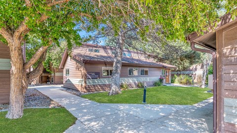 a house with a sidewalk and trees in front of it