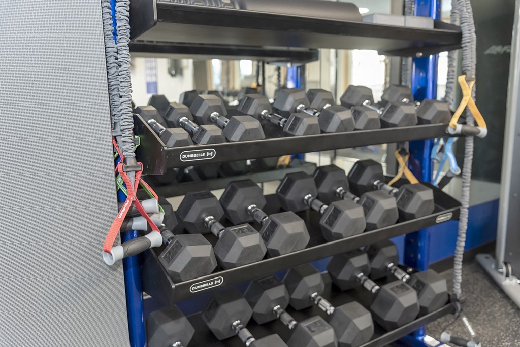 RiverPointeApartmentsFridleyMN-Fitness Center Strength Equipment2