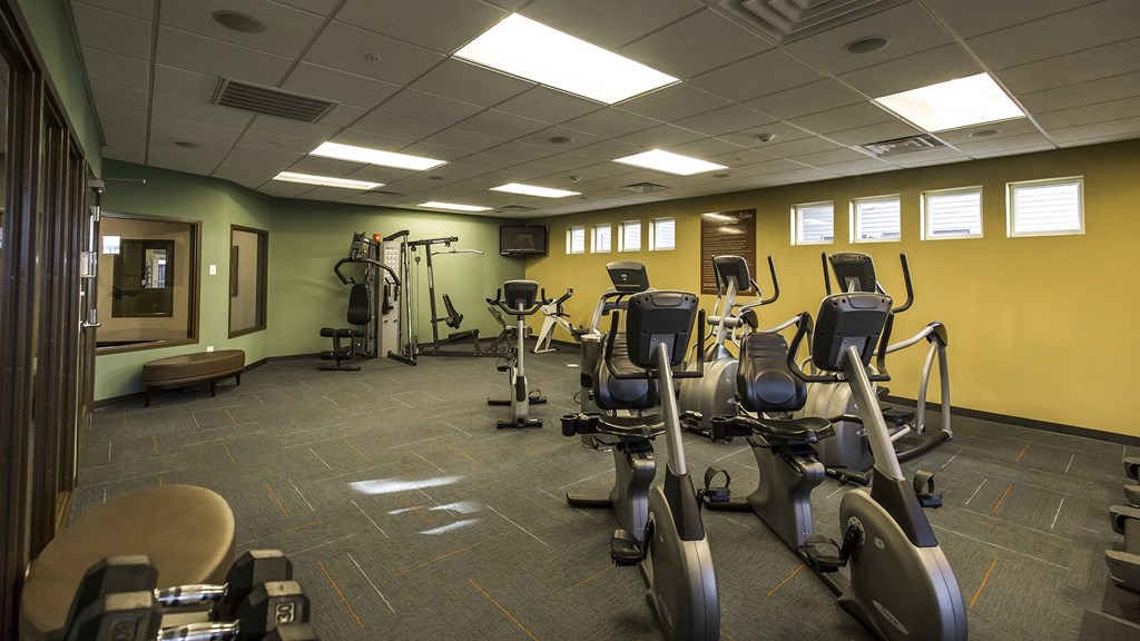 a gym with a lot of exercise equipment