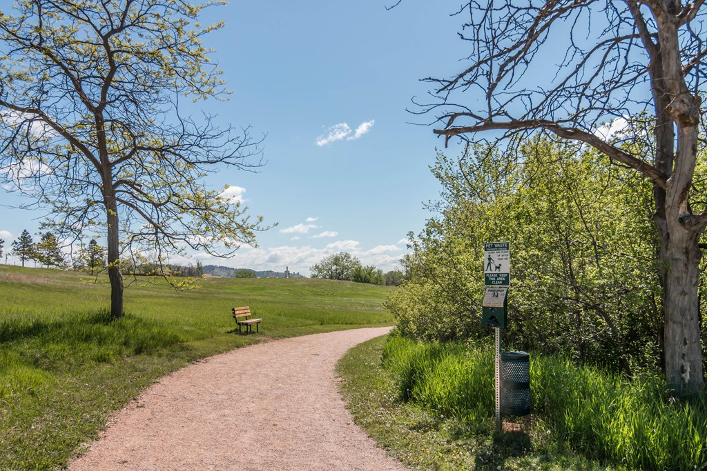 Gravel Hiking Trail with Bench, Trees Alongside
