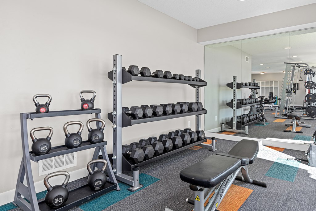 A gym with a bench, weights, and a mirror.