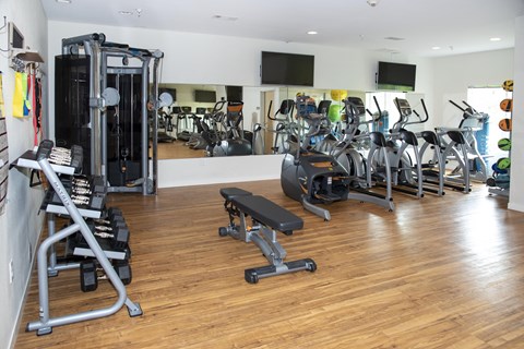Fitness Center with Cardio and Strength Equipment