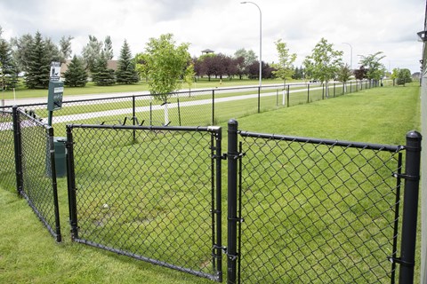 Gated Dog Park