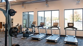 a gym with cardio machines and weights on the floor at The Bosk Apartment Homes, Woodbury, MN, 55125