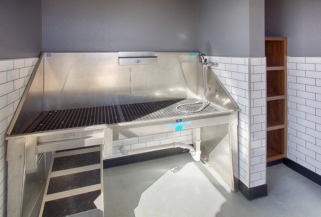 Stainless Steel Dog Washing Station