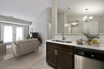 Tall Ceilings over Living Room and Kitchen Sink - Photo Gallery 3