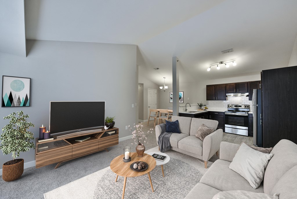 Living Room and TV