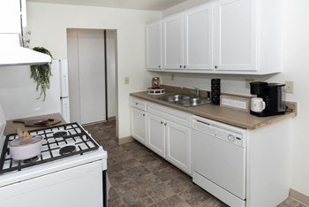 7700 49th Street North 1-2 Beds Apartment for Rent - Photo Gallery 4