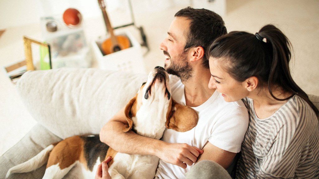 a man and woman sitting on a couch with a dog