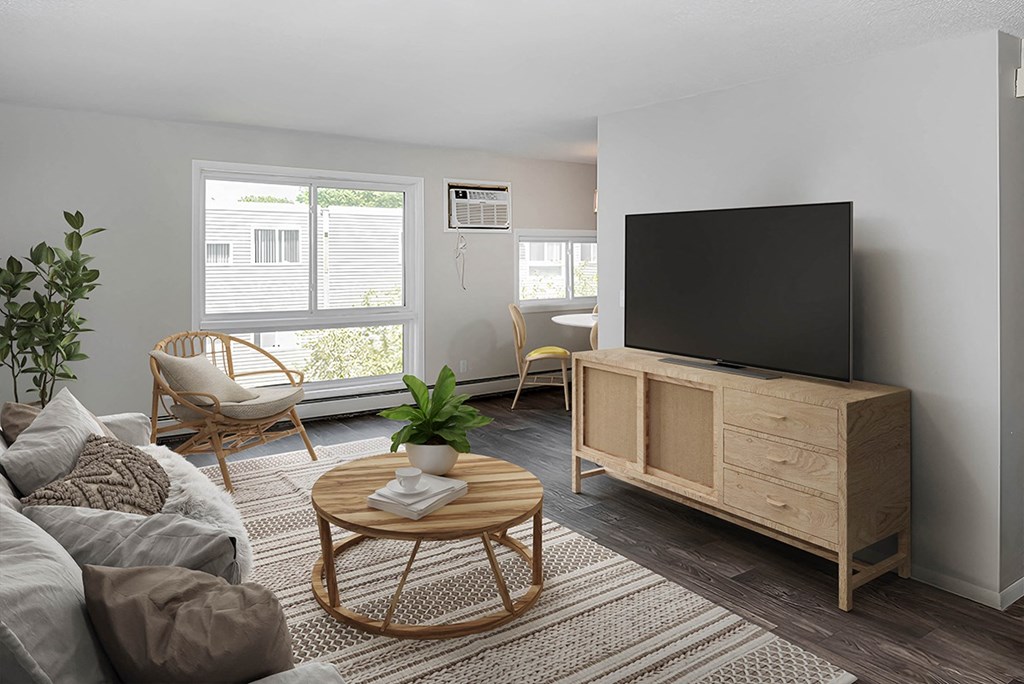 a living room with a couch and a television