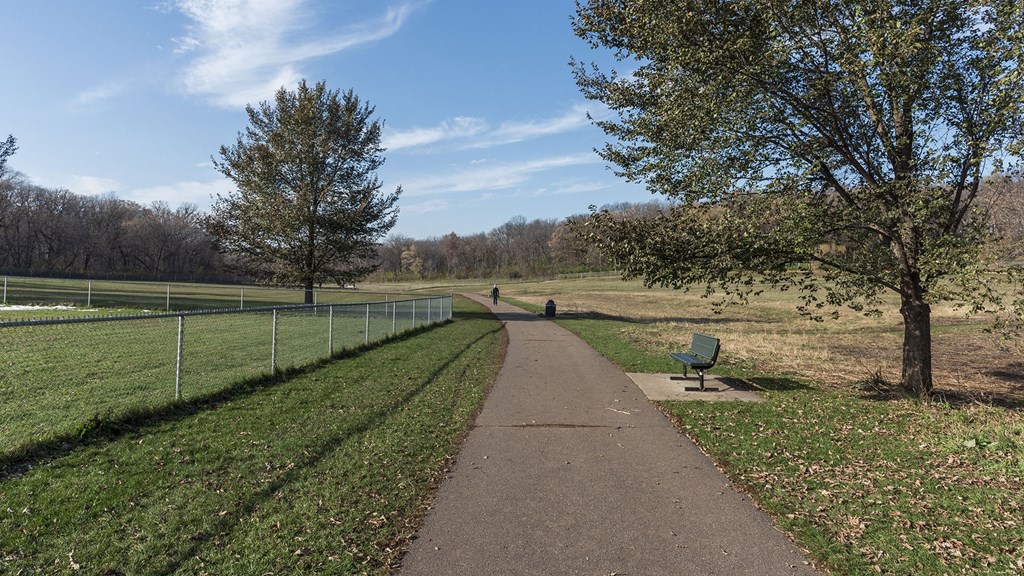 a path through a park with trees and a bench