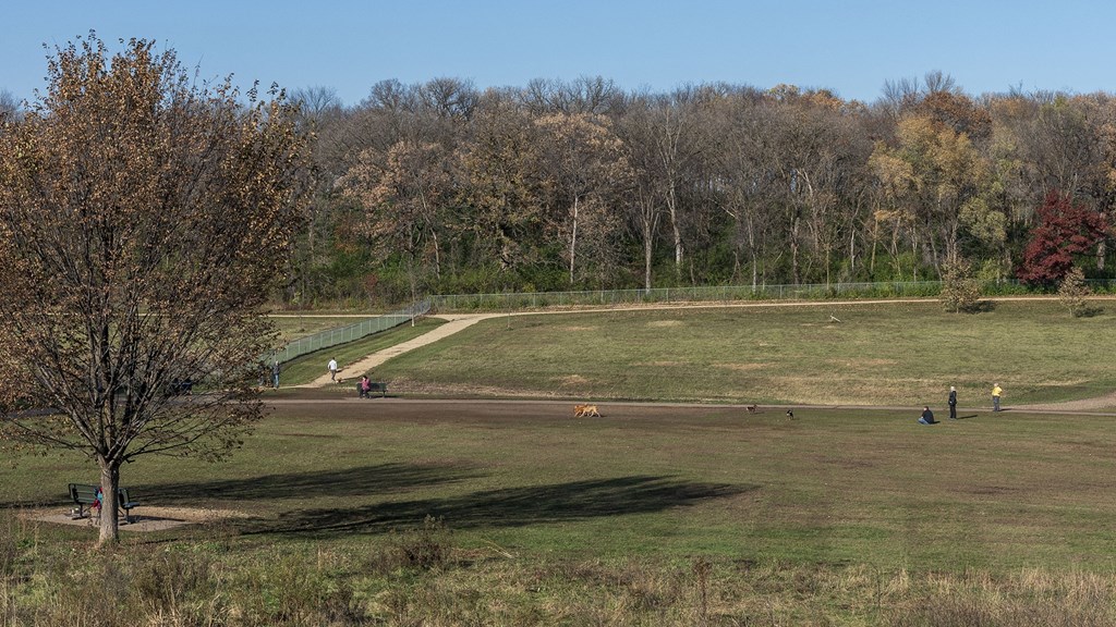 a view of a park with people walking on a path