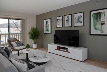 Living Room with Television - Photo Gallery 3