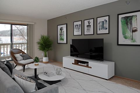 Living Room with Television