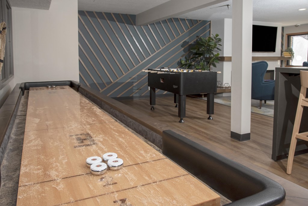 Shuffleboard Table