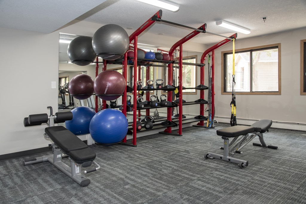 Exercise Balls and Equipment Racks