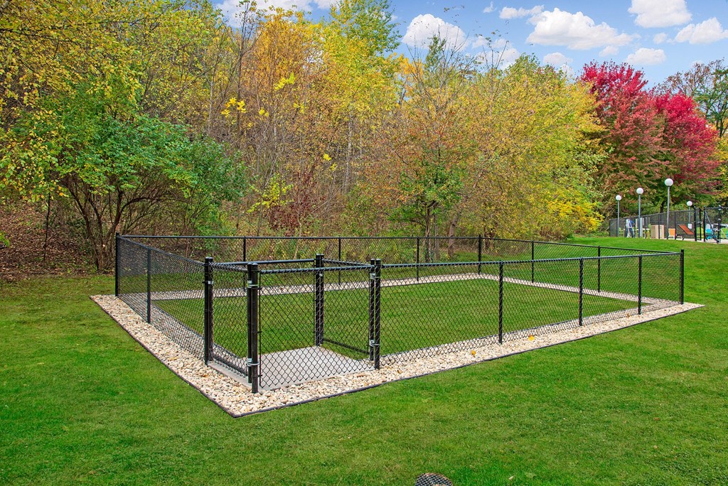 Gated Dog Park