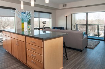 Kitchen and living room - Photo Gallery 4