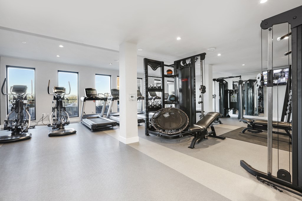 a workout room with weights and cardio equipment in a home gym
