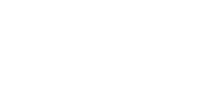 The image shows the word "PALISADES" in large, bold letters.